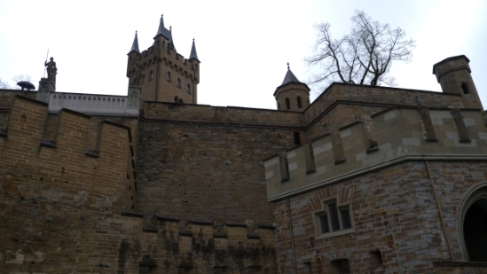 P1690143.jpg