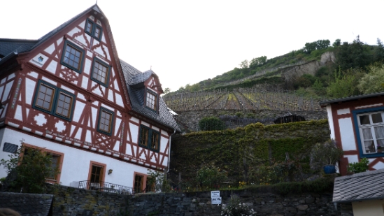 P1690201.jpg
