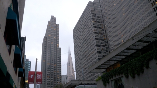 P1690932.jpg