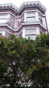 P1700029.jpg
