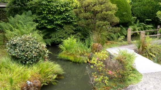 P1700095.jpg