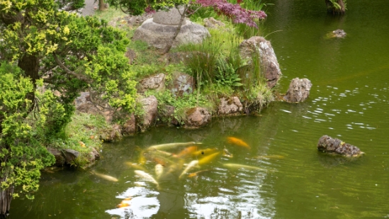 P1700148.jpg