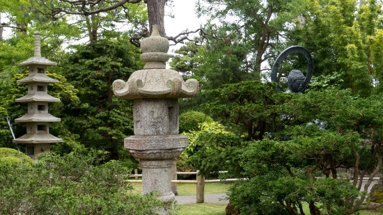 P1700157.jpg