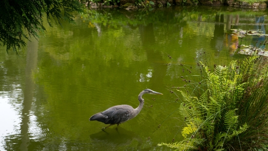 P1700216.jpg