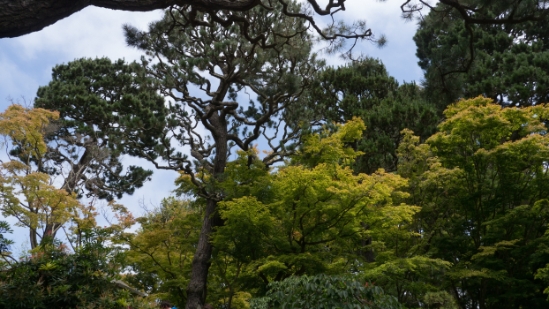 P1700246.jpg