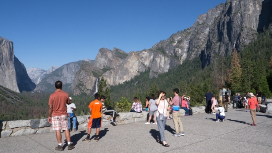P1700785.jpg
