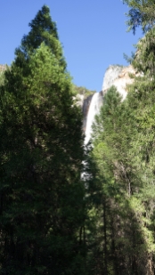 P1700791.jpg