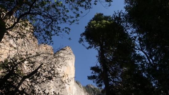 P1700846.jpg