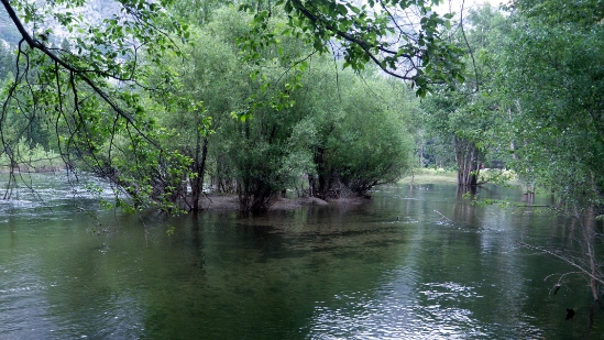 P1700896.jpg