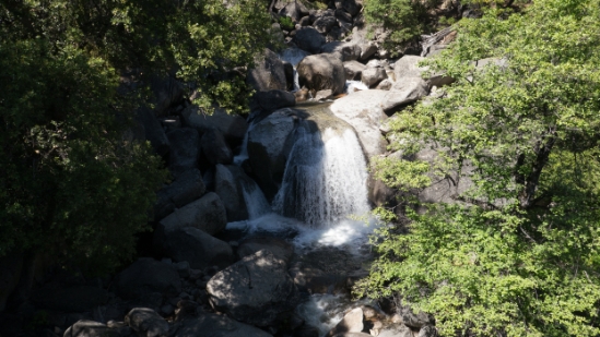 P1710236.jpg