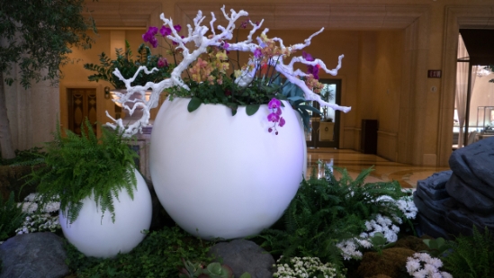 P1720201.jpg