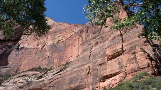 P1720854.jpg