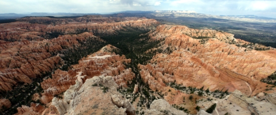P1730729-001.jpg