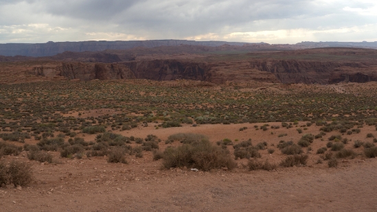 P1740222.jpg
