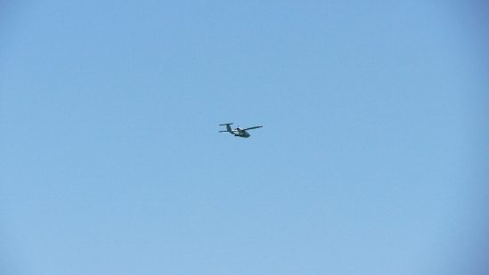 P1740637.jpg