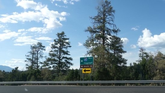 P1770118.jpg
