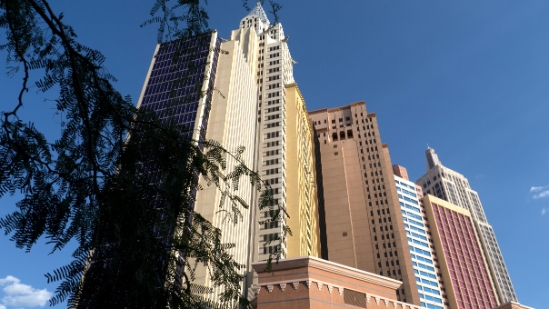 P1780234.jpg