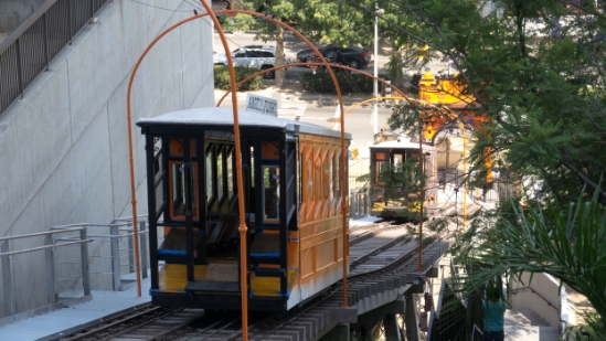 P1780525.jpg
