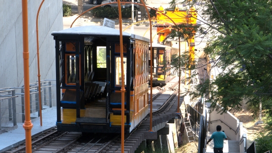 P1780527.jpg