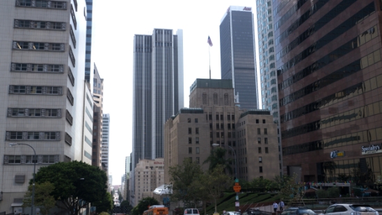 P1780533.jpg