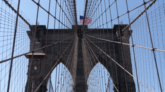 P1800176.jpg
