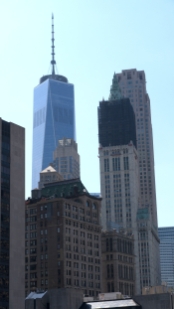 P1800234.jpg