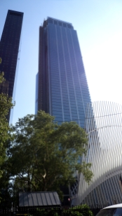 P1800267.jpg