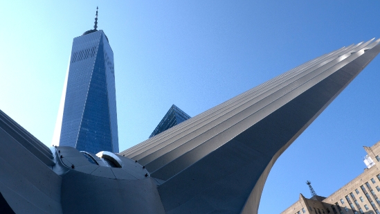 P1800287.jpg