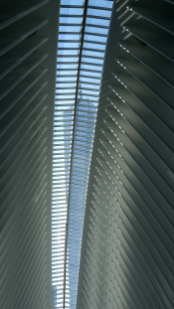 P1800294.jpg