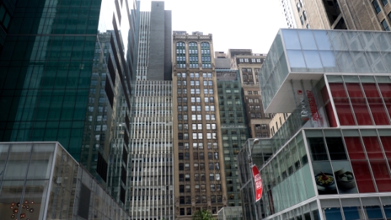 P1800378.jpg