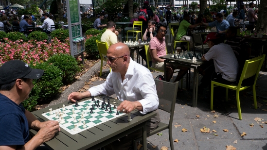 P1800390.jpg