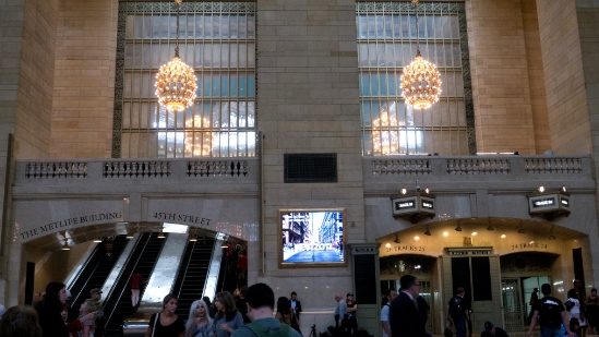 P1800496.jpg