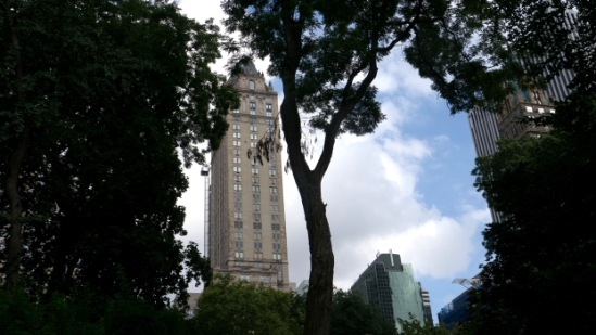 P1800614.jpg