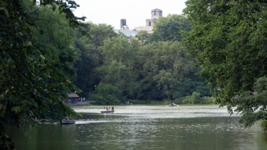 P1800678.jpg