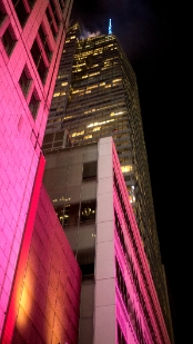 P1800875.jpg