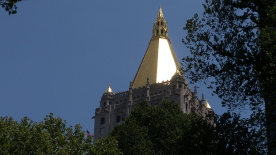 P1810009.jpg