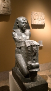 P1810428.jpg