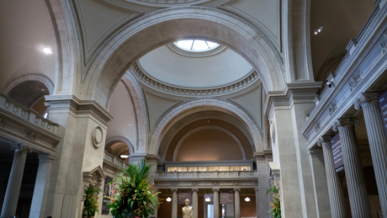 P1810528.jpg