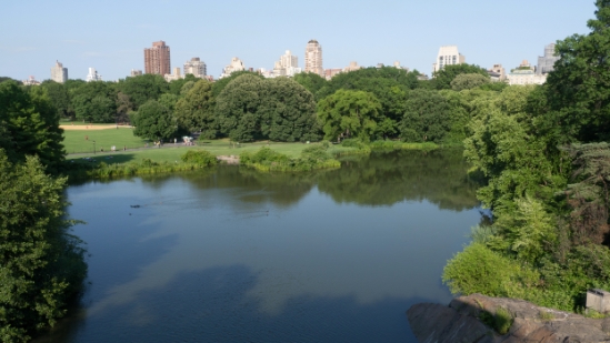 P1810579.jpg