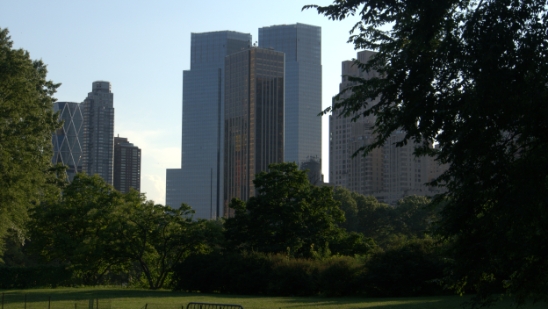 P1810631.jpg