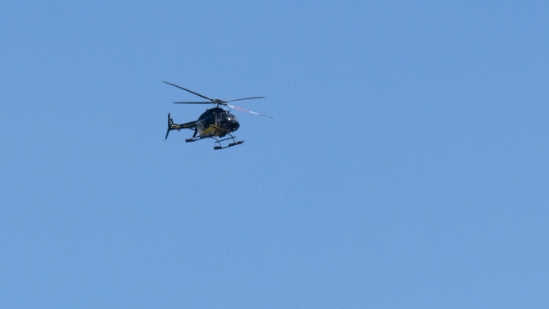 P1820004.jpg