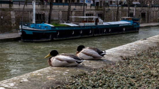 PARIS_094.jpg