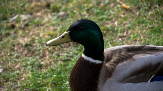 PARIS_106.jpg