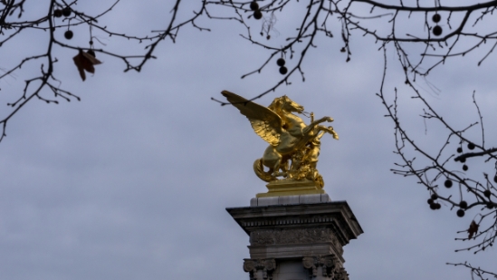 PARIS_392.jpg