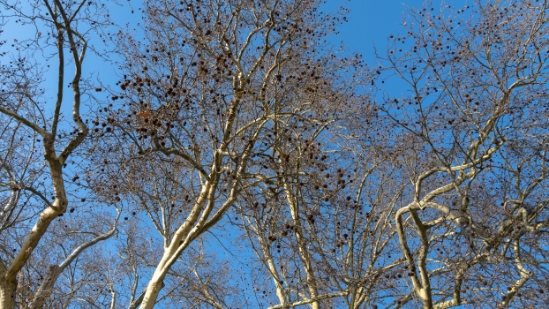 PARIS_424.jpg