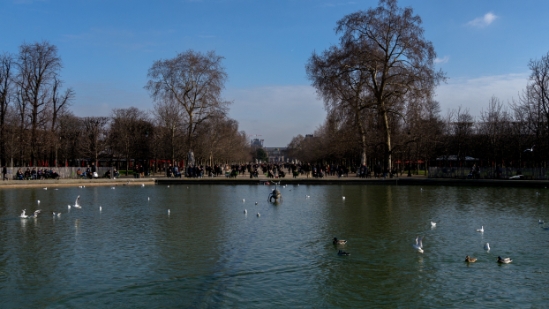 PARIS_452.jpg
