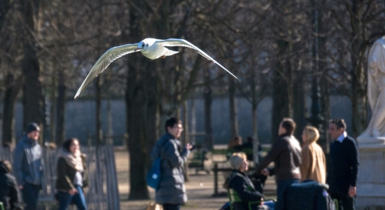 PARIS_455.jpg